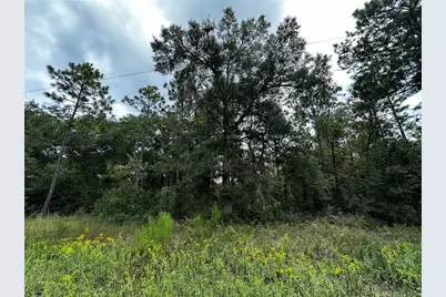 0000 NE 155th Court, Williston, FL 32696 - Photo 3