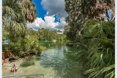 19242 SW 101st Street, Dunnellon, FL 34432 - Photo 49