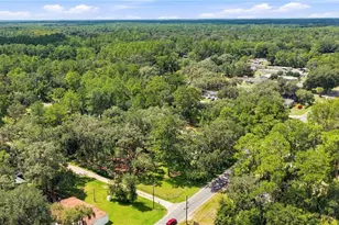 14200 NE 165th St, Fort Mc Coy, FL 32134 - Photo 23