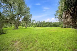 15470 NE Hwy 314, Silver Springs, FL 34488 - Photo 5