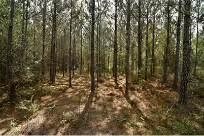 00 Old Federal Road, Quincy, FL 32351 - Photo 11