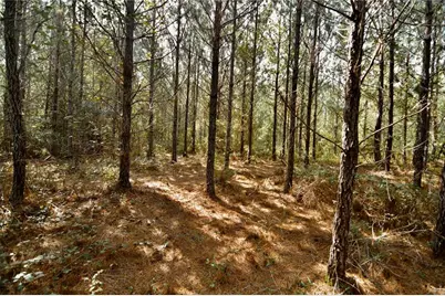00 Old Federal Road, Quincy, FL 32351 - Photo 41