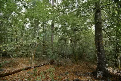 00 Old Federal Road, Quincy, FL 32351 - Photo 33