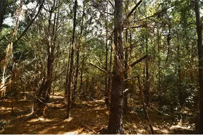 00 Old Federal Road, Quincy, FL 32351 - Photo 55