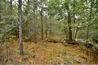 00 Old Federal Road, Quincy, FL 32351 - Photo 35