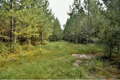 00 Old Federal Road, Quincy, FL 32351 - Photo 15
