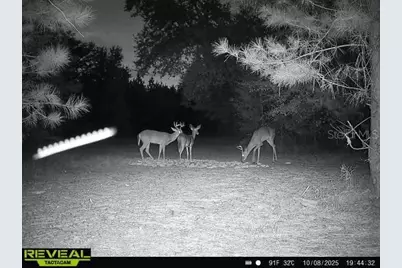 00 Old Federal Road, Quincy, FL 32351 - Photo 25
