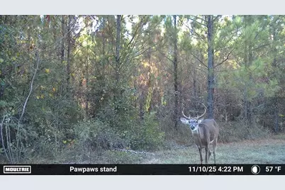 00 Old Federal Road, Quincy, FL 32351 - Photo 3