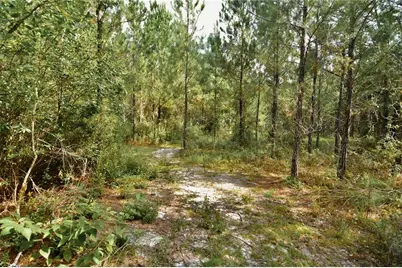 00 Old Federal Road, Quincy, FL 32351 - Photo 47