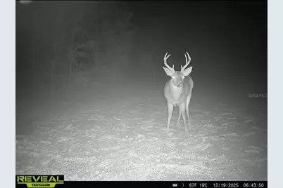 00 Old Federal Road, Quincy, FL 32351 - Photo 7