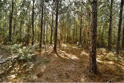 00 Old Federal Road, Quincy, FL 32351 - Photo 51