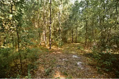 00 Old Federal Road, Quincy, FL 32351 - Photo 45