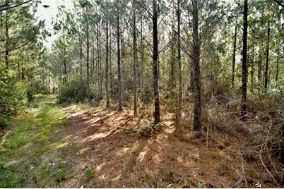 00 Old Federal Road, Quincy, FL 32351 - Photo 39