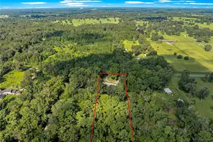 12577 SE 36 Ave, Belleview, FL 34420 - Photo 47