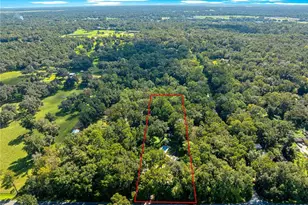 12577 SE 36 Ave, Belleview, FL 34420 - Photo 51