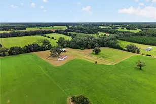 15271 NE Co Rd 339, Trenton, FL 32693 - Photo 49