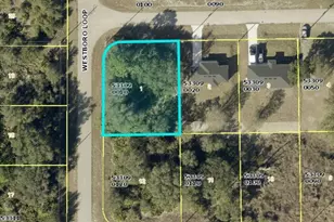 719 Tunney St, Lehigh Acres, FL 33972 - Photo 1