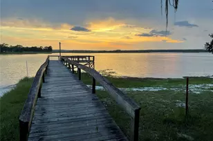 25349 140th Pl NE, Fort Mc Coy, FL 32134 - Photo 27