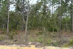 8642 SW 128th Terrace, Dunnellon, FL 34432 - Photo 13