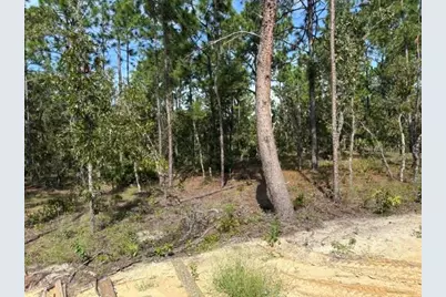 8642 SW 128th Terrace, Dunnellon, FL 34432 - Photo 9