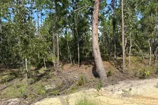 8642 SW 128th Terrace, Dunnellon, FL 34432 - Photo 9