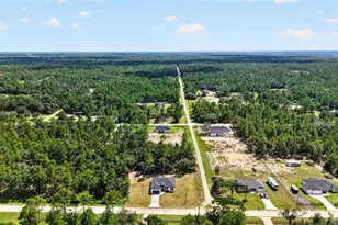 12698 SW 80th St, Dunnellon, FL 34432 - Photo 83