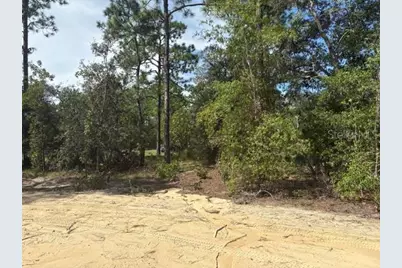 8454 SW 138th Terrace, Dunnellon, FL 34432 - Photo 7