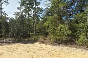8454 SW 138th Terrace, Dunnellon, FL 34432 - Photo 7