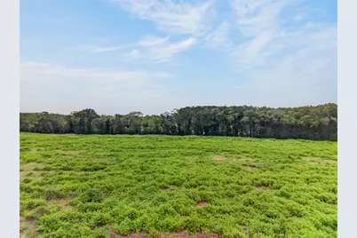 4949 NW 100th Street, Ocala, FL 34482 - Photo 15