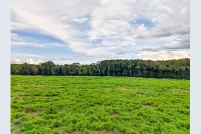4949 NW 100th Street, Ocala, FL 34482 - Photo 3