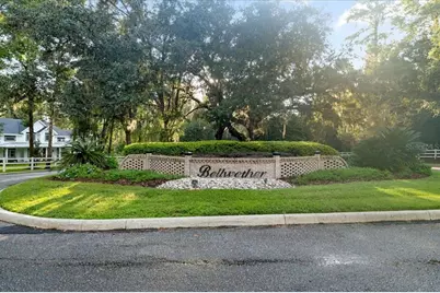 Tbd SW 38 Street, Ocala, FL 34471 - Photo 5