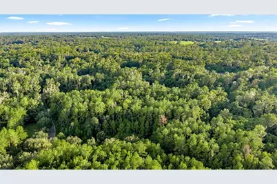 Tbd SW 38 Street, Ocala, FL 34471 - Photo 13