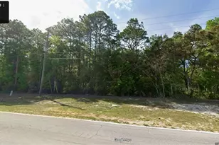 10052 N Country Club Way, Citrus Springs, FL 34434 - Photo 1