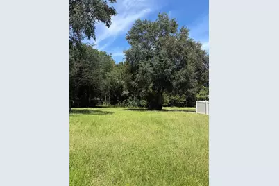 Tbd SE 144th Place, Summerfield, FL 34491 - Photo 5