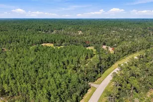 4559 W Dunklin St, Dunnellon, FL 34433 - Photo 45