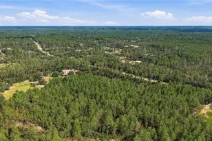 4559 W Dunklin St, Dunnellon, FL 34433 - Photo 47