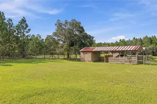 4559 W Dunklin St, Dunnellon, FL 34433 - Photo 53