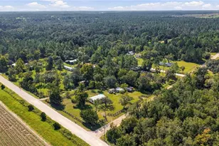 971 NE 134th Ct, Williston, FL 32696 - Photo 21