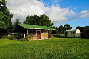 11690 NW 160 St, Reddick, FL 32686 - Photo 41