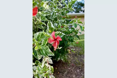 11690 NW 160th Street, Reddick, FL 32686 - Photo 53