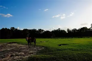 11690 NW 160 St, Reddick, FL 32686 - Photo 47