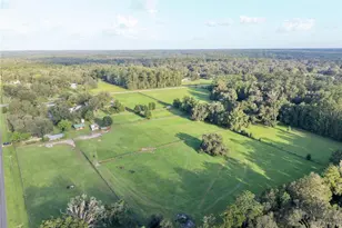 11690 NW 160 St, Reddick, FL 32686 - Photo 43