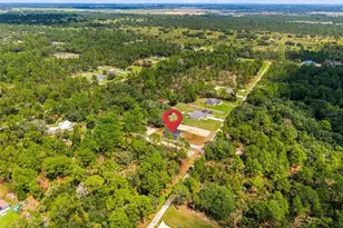12343 SW 95th Pl, Dunnellon, FL 34432 - Photo 45