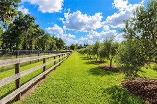 1725 SE 47th Ave, Ocala, FL 34471 - Photo 83