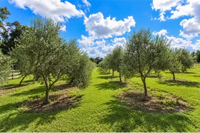 1725 SE 47th Avenue, Ocala, FL 34471 - Photo 81