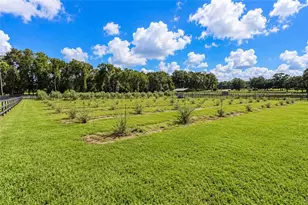1725 SE 47th Ave, Ocala, FL 34471 - Photo 81