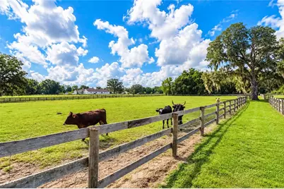 1725 SE 47th Avenue, Ocala, FL 34471 - Photo 87