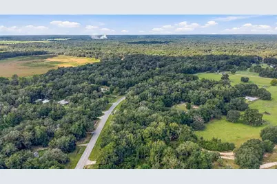 E Hwy 316, Citra, FL 32113 - Photo 5