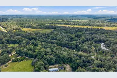 E Hwy 316, Citra, FL 32113 - Photo 7