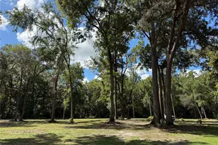 12051 NW 7 Pl, Ocala, FL 34482 - Photo 19